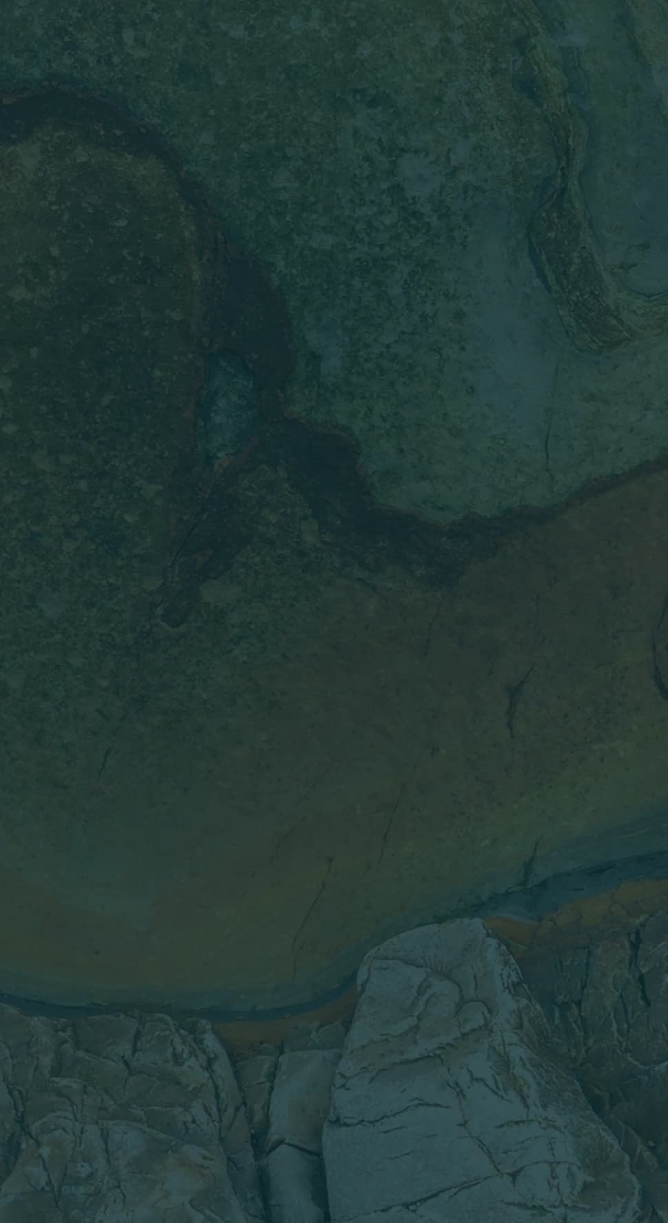 insights hero image